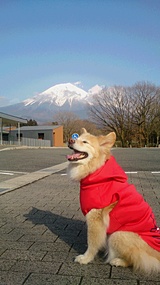 富士山バックにパチリ！
